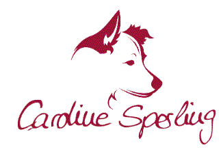 Ernährungsberatung mit Caroline Sperling